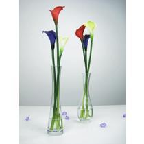 欣唯嘉植物花卉 品牌信息與價格指南